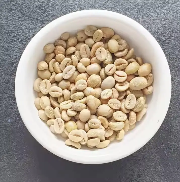 Indonesian Robusta Grade 1 Green Coffee Beans